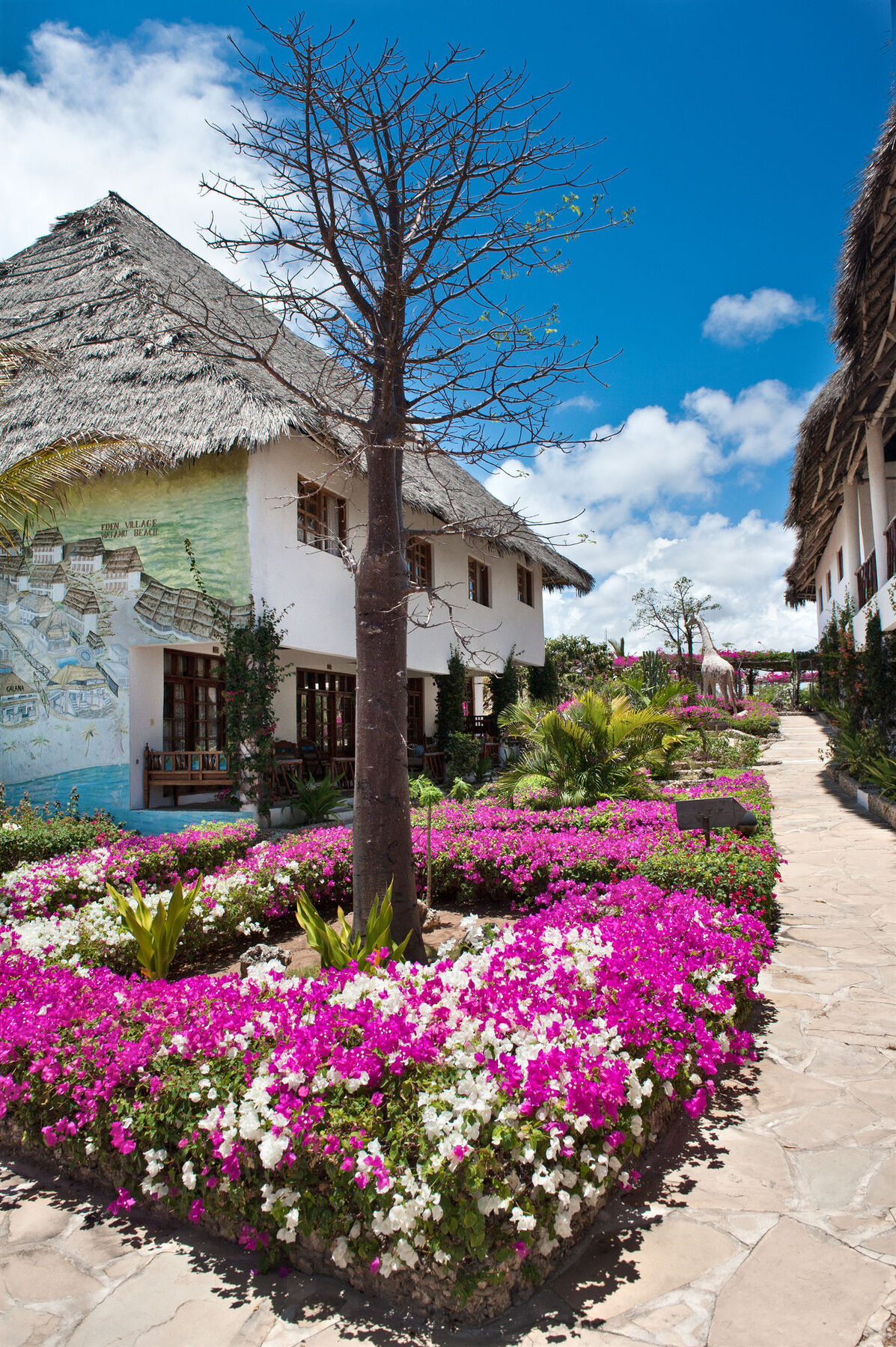 Jacaranda Beach Resort วาตามู ภายนอก รูปภาพ